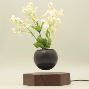 plástar potaithe leáite ascéimí adhmaid aerárthach bonsai PA-0720